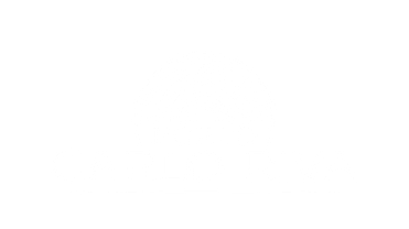 LOGO DETAILED WHITE